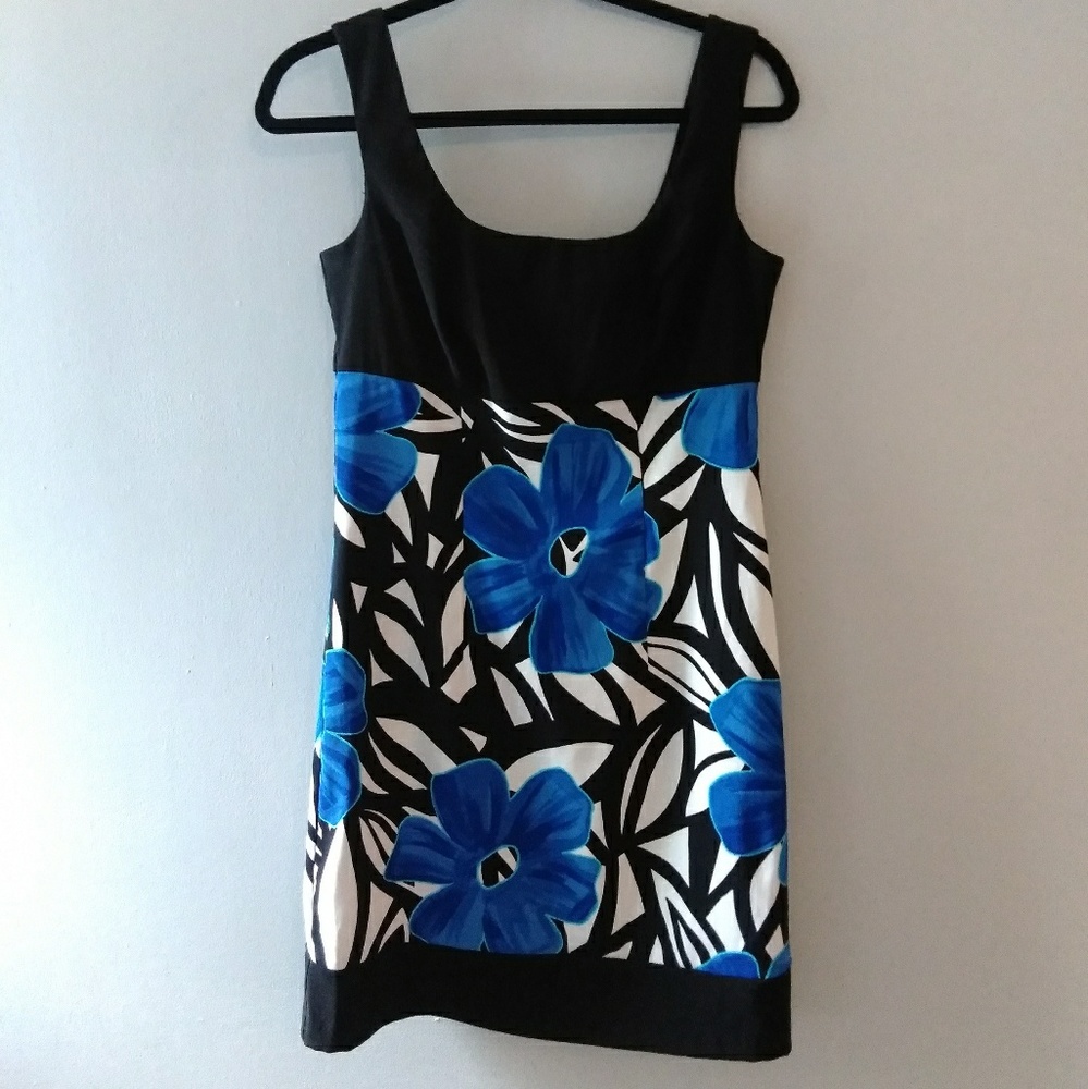 Dress Barn Dress